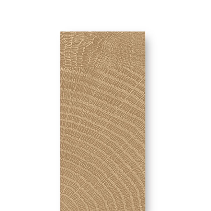 內布拉斯橡木 ​實木斷面紋